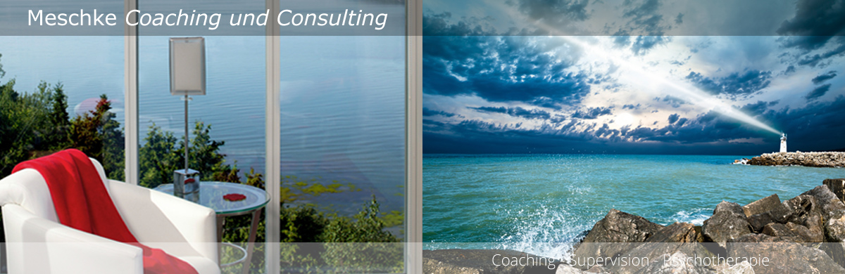 Meschke Coaching & Consulting